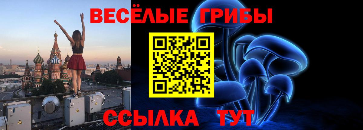 Канаш  Псилоцибиновые грибы мухоморы  Галлюциногенные грибы мухоморы  Вход с VPN 